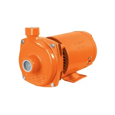 Bomba Centrífuga 1 Hp 160l/min Truper Expert Altura 33 M
