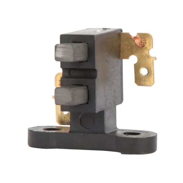 2 Carbones Para Generador Truper Gen-45x, Gen-55x, Gen-80x (CB-GRUPO7 - 12666)