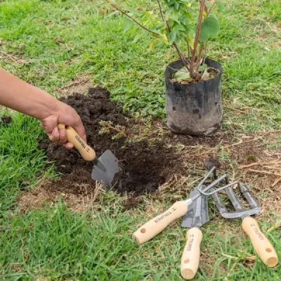 Set 4 Herramientas De Jardín Mango De Madera Y Organizador Truper